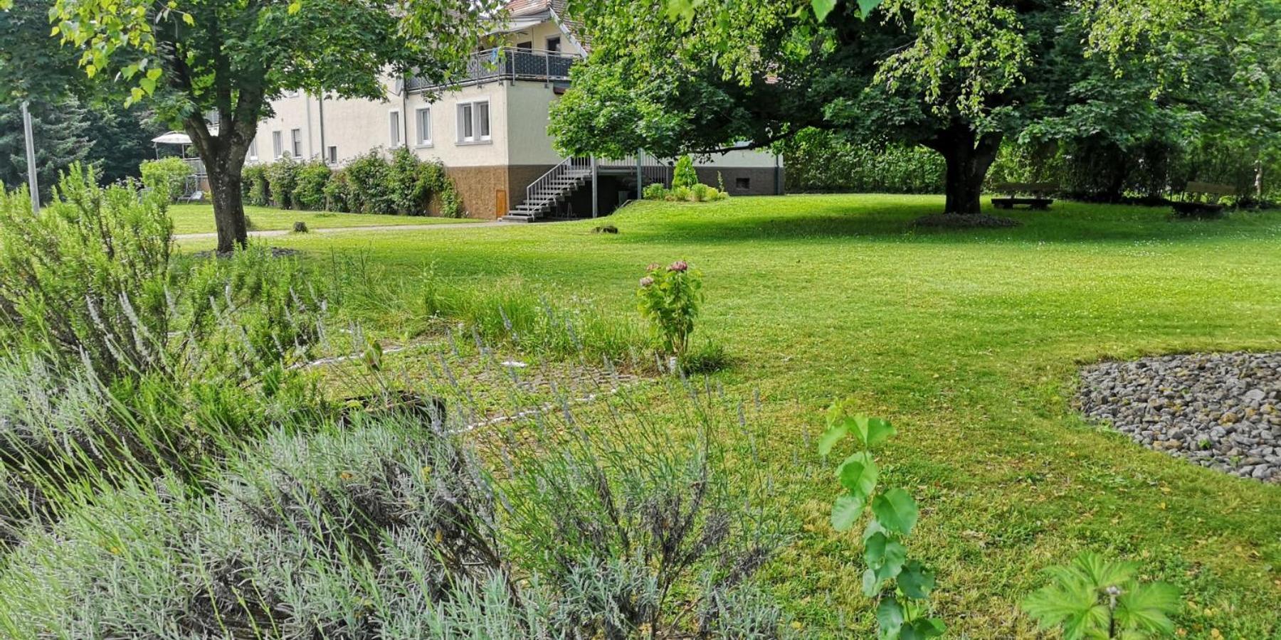 Niederwald Apartman Iffezheim Kültér fotó